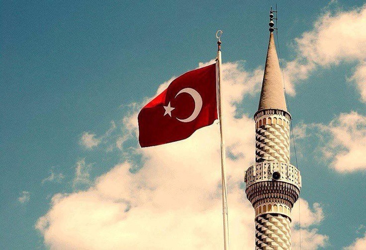 1175135_10151606353928359_476103994_n